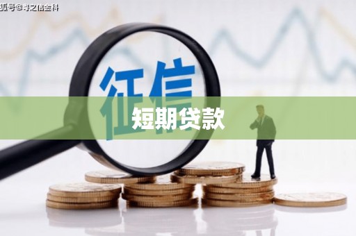 大余短期贷款