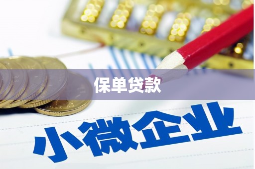 大余保单贷款